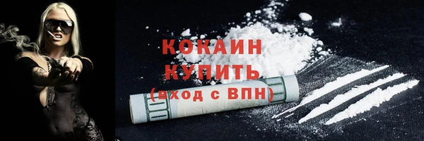 PSILOCYBIN Нязепетровск