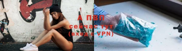 трава Аркадак
