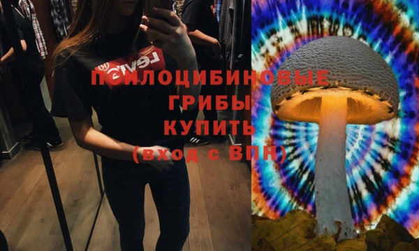 ALPHA PVP Армянск