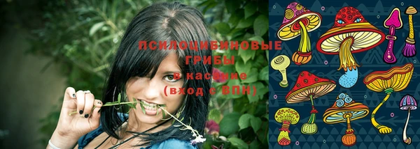 бутират Няндома