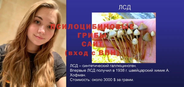 ALPHA PVP Армянск
